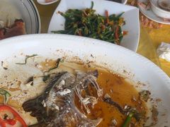 -八仔大富楼·河鲜(西江店)