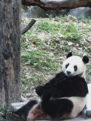 -柯琳造型