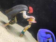 -欢乐海岸海洋奇梦馆