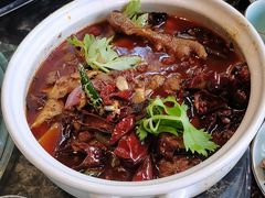 -先机泉水鸡汤(南山老君洞店)