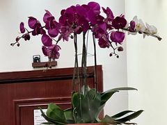 -第六季自助餐厅(甜水园店)