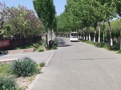 -西青郊野公园