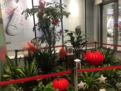 -凯德广场(西城店)