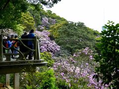 -梧桐山风景名胜区