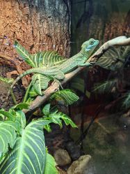 -酷嗒动物文化乐园(cutezoo西溪乐天城店)