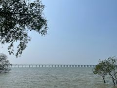 -宝安西湾红树林湿地公园