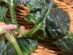 -巴奴毛肚火锅(龙湖锦艺城店)