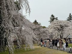 -醍醐寺