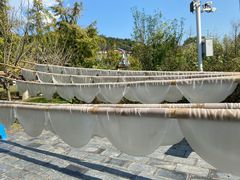 -长兴太湖图影湿地文化园