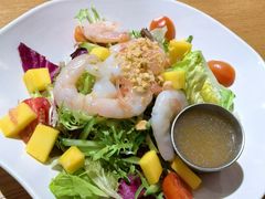 -HELLO 27 意面·沙拉·帕尼尼