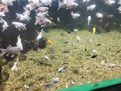 -常州海昌海洋探索馆