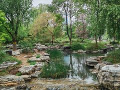 -莲花池公园