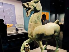 -广西壮族自治区博物馆