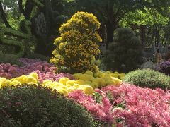 -汇龙潭
