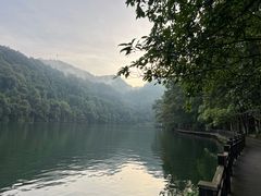 -江西阳明山国家森林公园