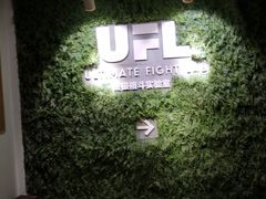 -EFL巴西柔术·综合格斗·泰拳·少儿体能训练(虹桥德必馆)