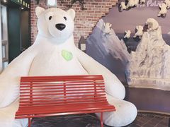 -朝安泰迪熊博物馆