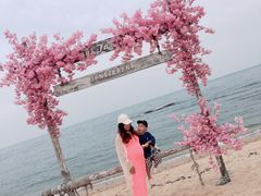 -北戴河碧螺塔海上酒吧公园