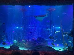 -沈阳海洋探索中心