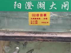 -喜洋洋蟹庄(阳澄湖店)