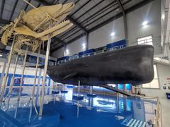 -上海海洋大学鱼文化博物馆(军工路校区)