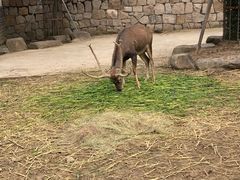-上方山森林动物世界