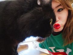 -MOYOYO猫咪咖啡店