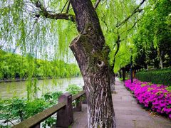 -香积寺