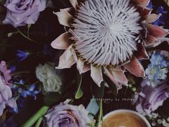 -HANA COFFEE(长寿路店)
