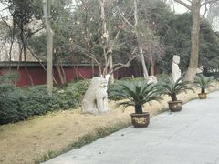 -包公祠