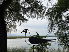 -野鸭湖国家湿地公园