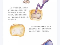 -饭米多蔻中英文绘本馆(苏州美罗店)