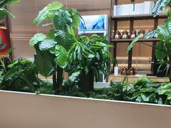 -悦海·家宴·冰花皮皮虾大锅贴(宝龙店)