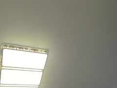 -华林禅寺
