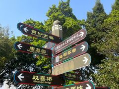 -荔湾湖公园