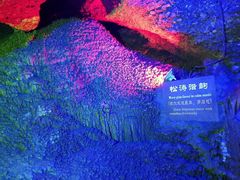 -寻龙山风景旅游区