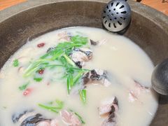 -咕嘟草帽鱼·牛奶一样的鲜鱼汤(包河万达广场创始店)