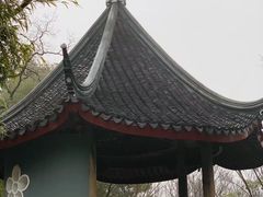 -香雪海