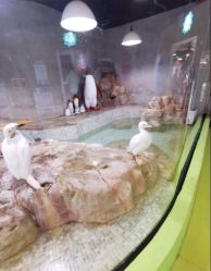 -七巧国萌宠乐园(龙湖天街店)