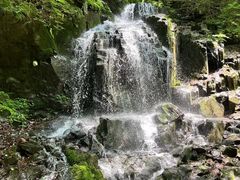 -本溪汤沟绿石谷森林公园