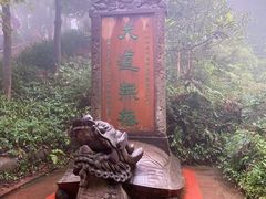 -青城山