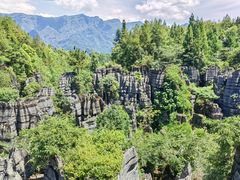 -梭布垭石林景区