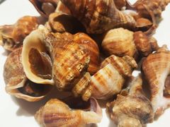 -安蒂娅·海鲜自助餐厅(安蒂娅美兰酒店)