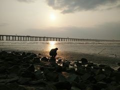 -宝安西湾红树林湿地公园