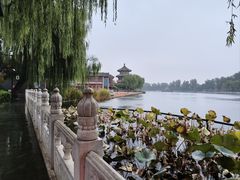 -后海公园