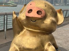 -星光大道