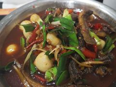 独火泥鳅-弓虽昌焖烧鸡(大竹林店)