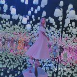 魔都看展|teamlab一部手机出大片的展览