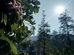 -广州市白云山风景名胜区