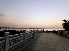 -宝安西湾红树林湿地公园